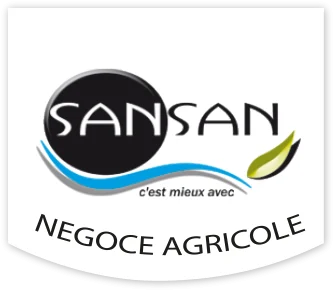 logo-4